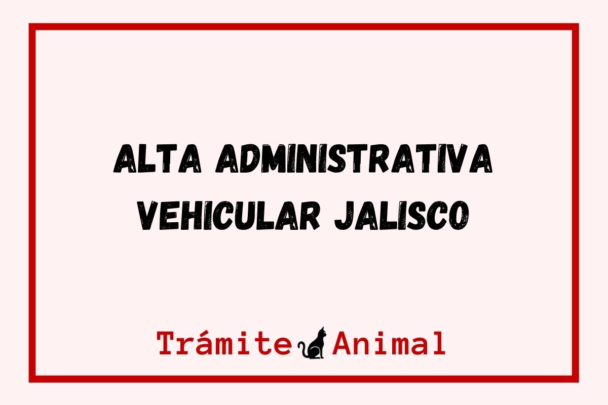 Alta Vehicular Jalisco