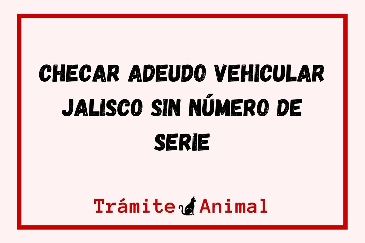 Checar Adeudo Vehicular en Jalisco sin número de Serie