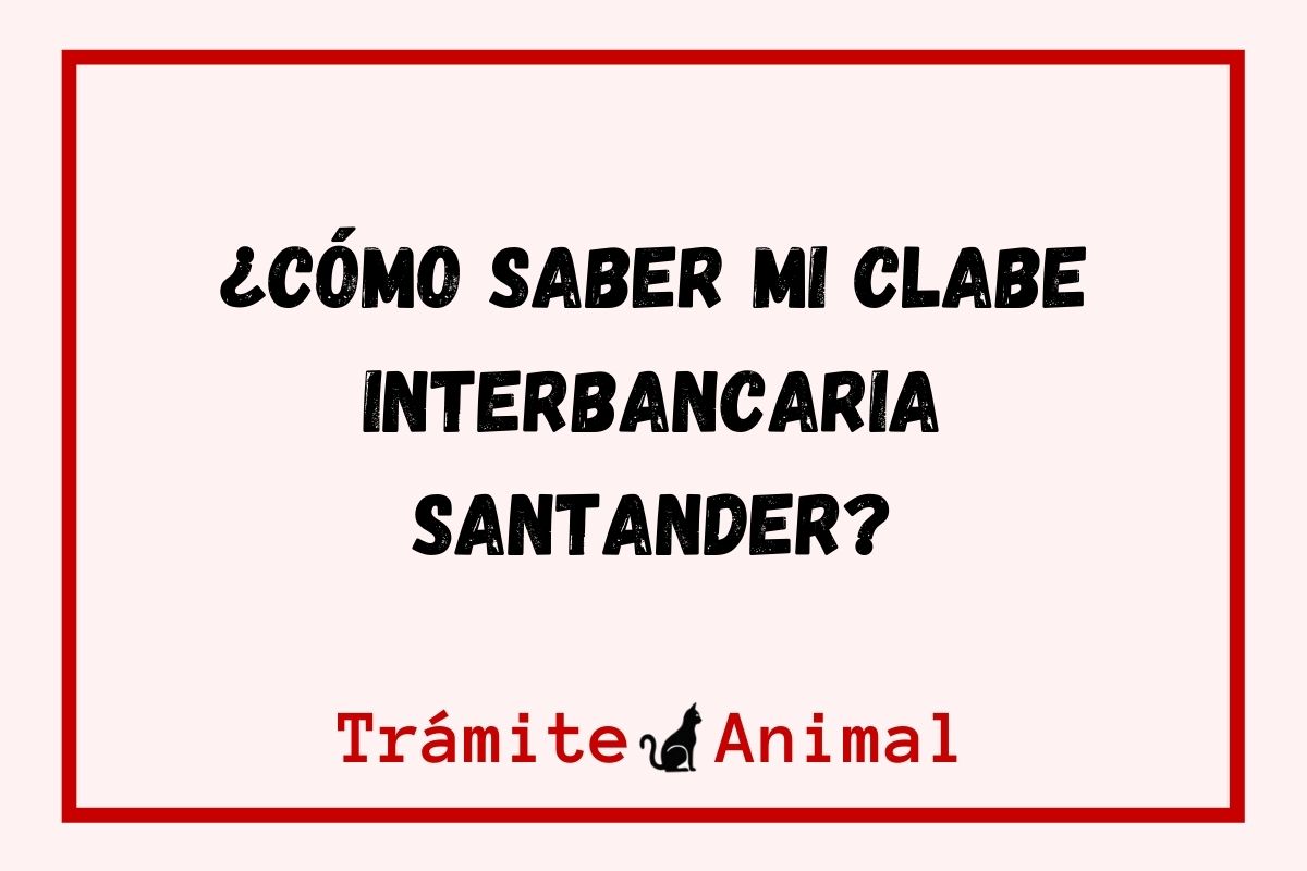 Cómo saber mi clabe Interbancaria Santander