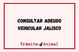 Consultar Adeudo Vehicular en Jalisco