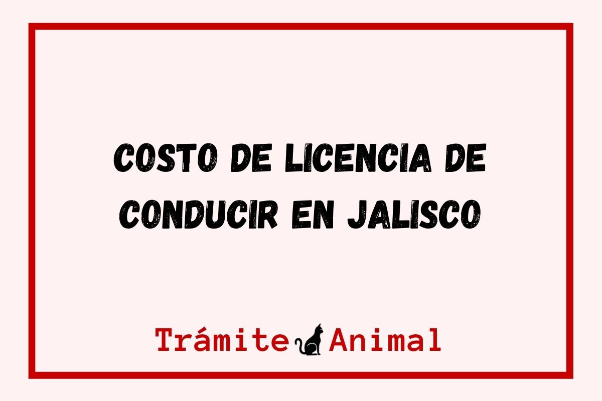 Costo Licencia de Conducir Jalisco
