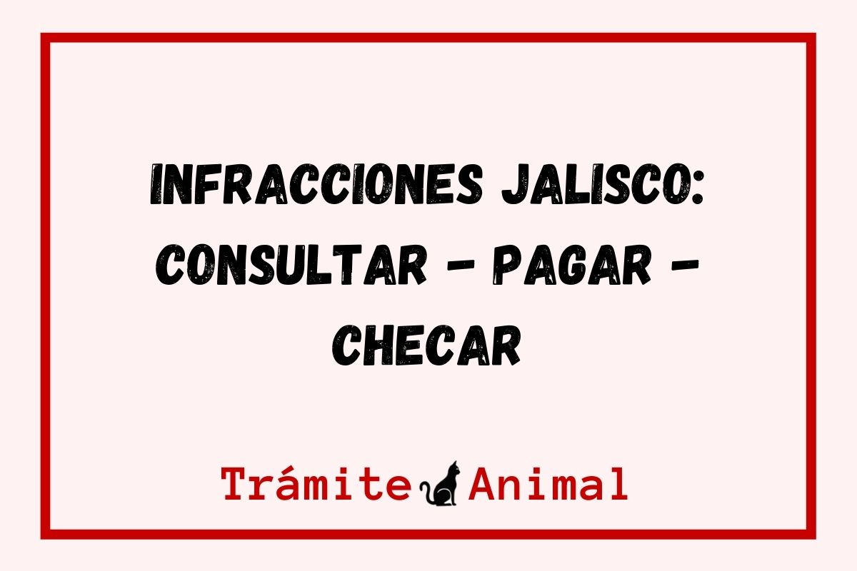 Infracciones en Jalisco - Consulta en línea
