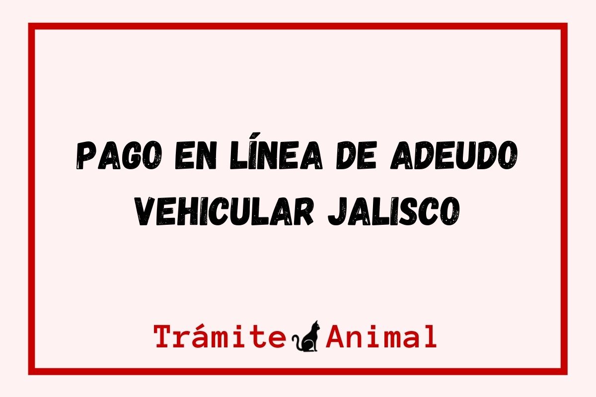 Pago en línea de Adeudo Vehicular Jalisco