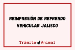 Reimpresión de Refrendo Vehicular Jalisco