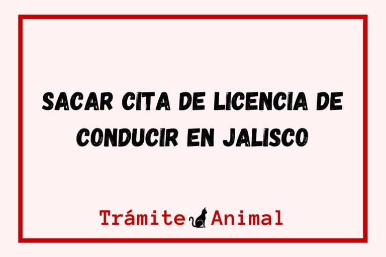 Cómo sacar carta de no inhabilitación Jalisco 【2021