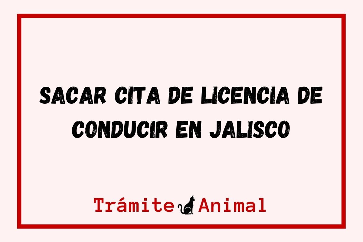 Sacar cita de licencia de conducir en Jalisco