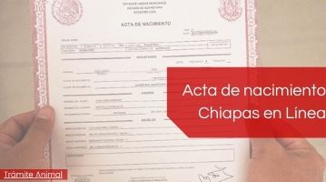 Descargar Acta de nacimiento Chiapas