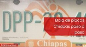 Baja de placas Chiapas