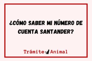 ¿Cómo saber mi número de cuenta Santander?