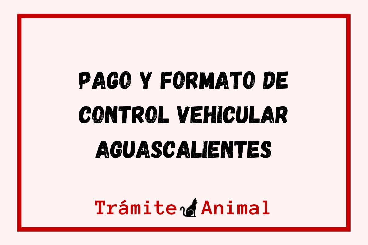 Control Vehicular Aguascalientes