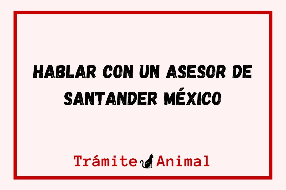 Hablar con un asesor de Santander México