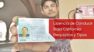 Licencia de conducir Baja California