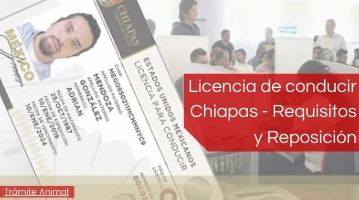Licencia de conducir Chiapas