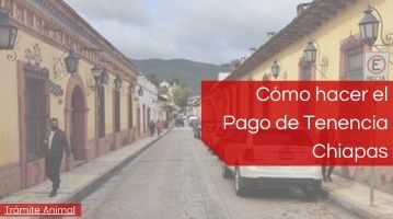 Pagar tenencia Vehicular Chiapas