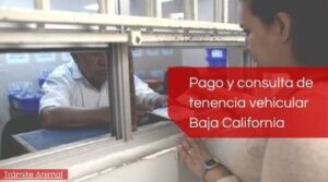 Pago de tenencia vehicular Baja California