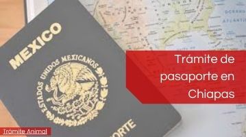 Requisitos para pasaporte en Chiapas
