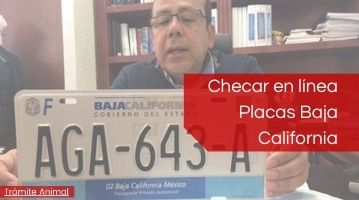 Placas Baja California