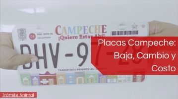 Placas Campeche