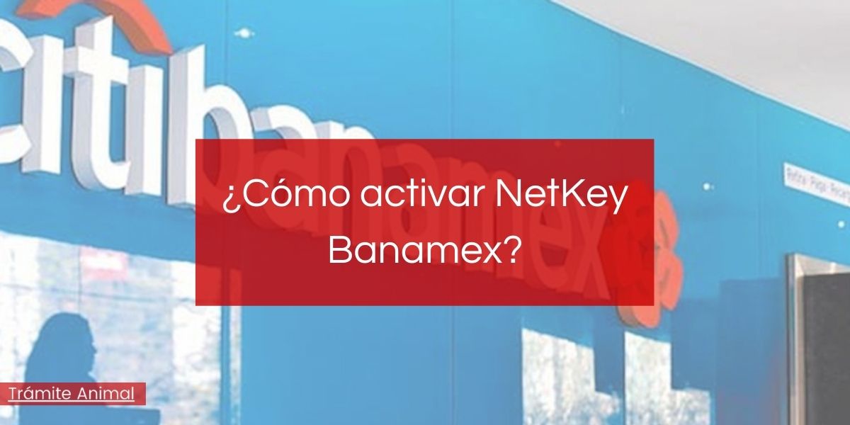 ¿Cómo activar NetKey Banamex?