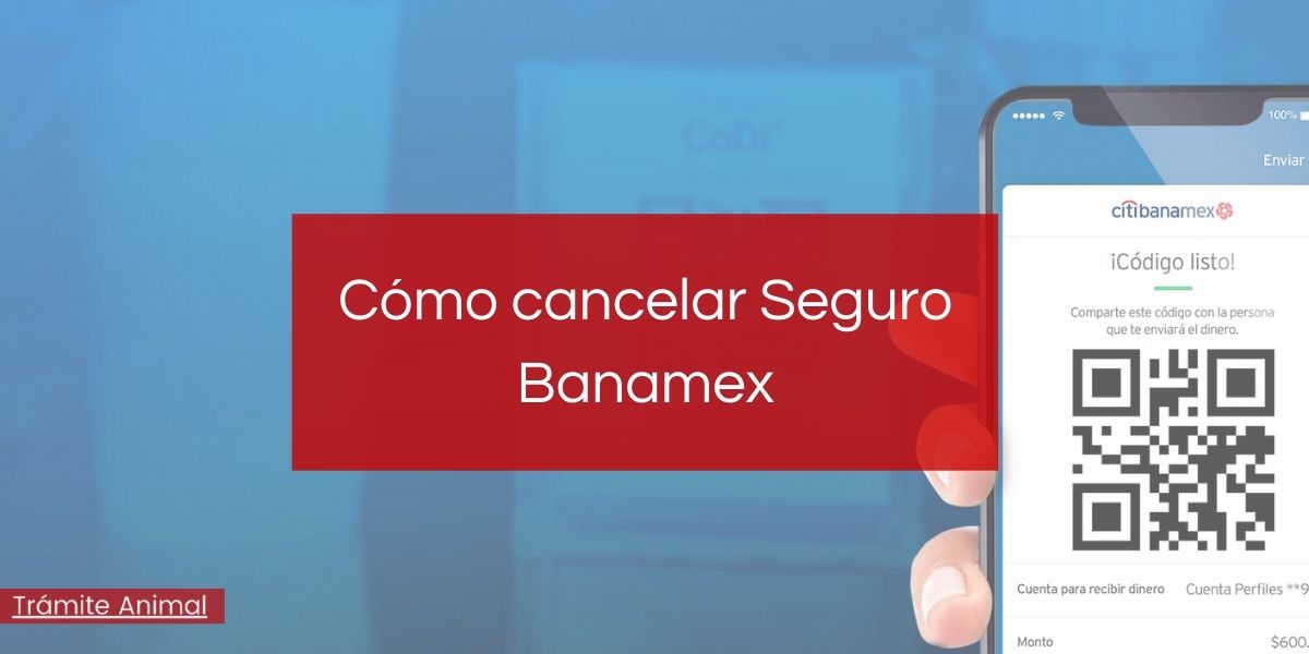 ¿Cómo cancelar un seguro Banamex?