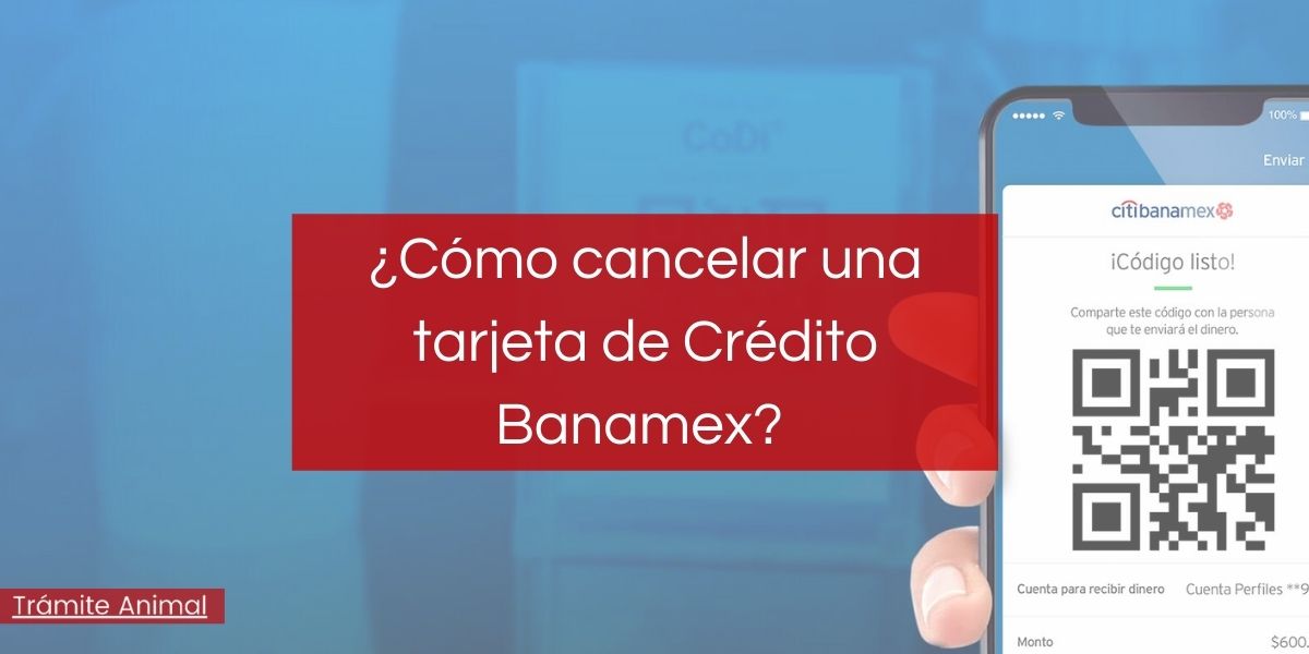 ¿Cómo cancelar una tarjeta de crédito Banamex?