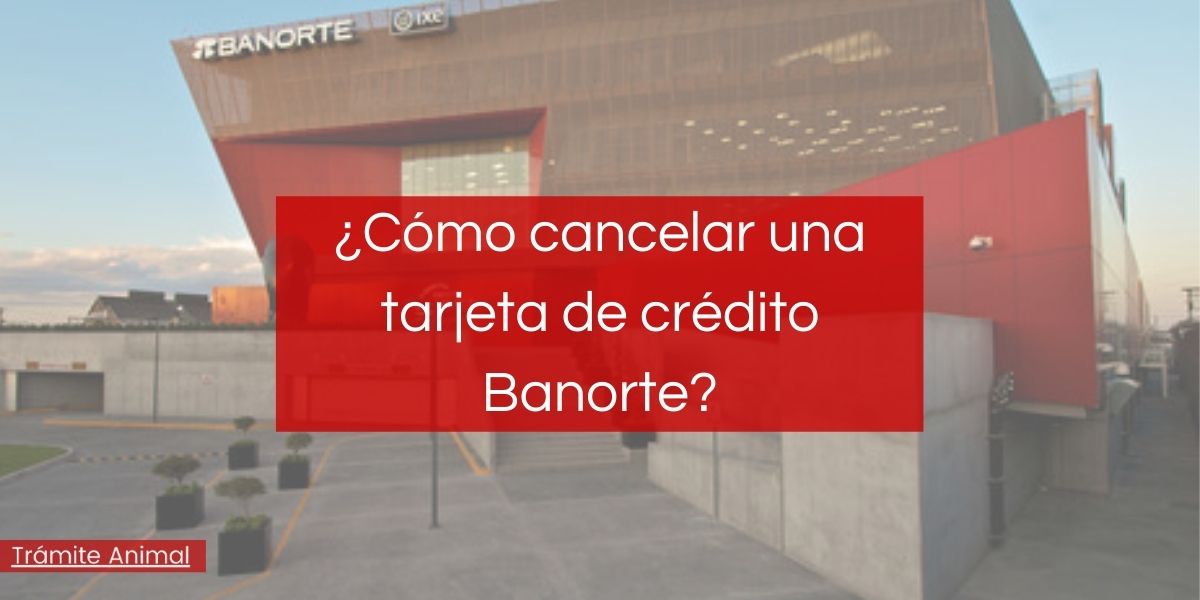 ¿Cómo cancelar tarjeta de crédito Banorte?