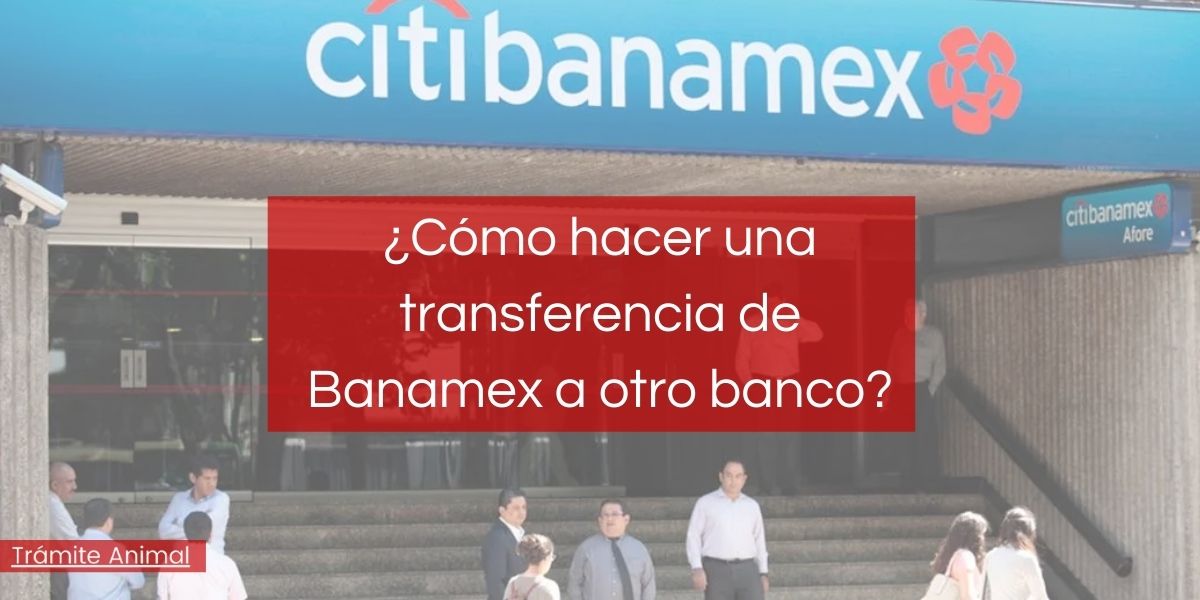 Cómo hacer una transferencia de Banamex a otro banco