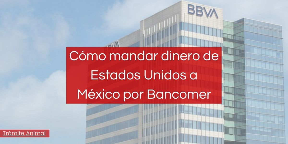 envios de dinero de estados unidos a mexico bancomer