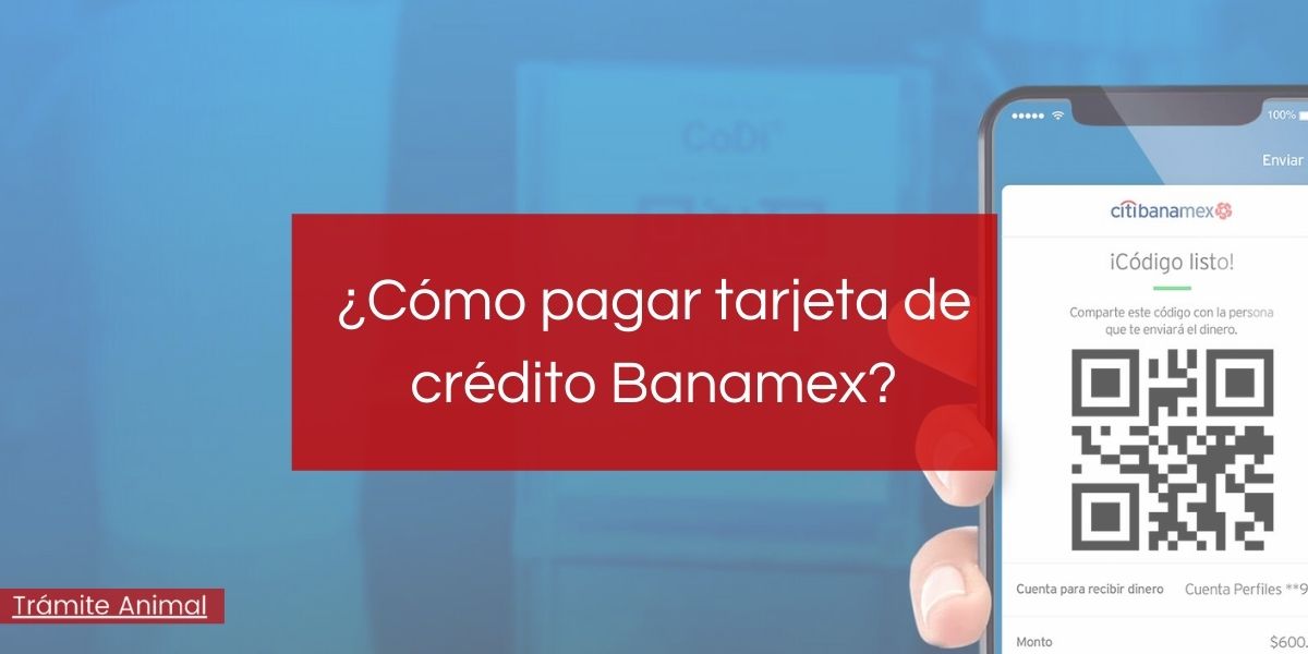 Cómo pagar tarjeta de crédito Banamex?