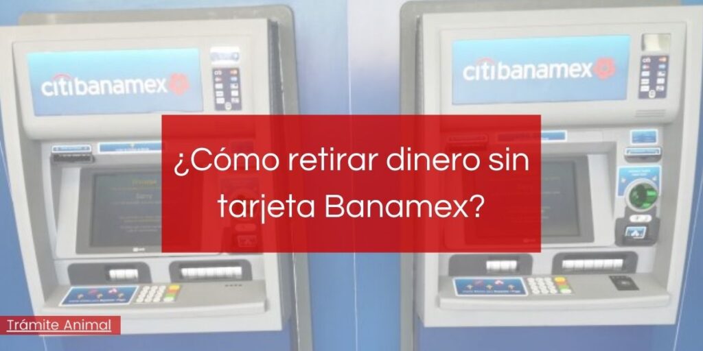 ¿Cómo cancelar una tarjeta de débito Banamex? 【2021