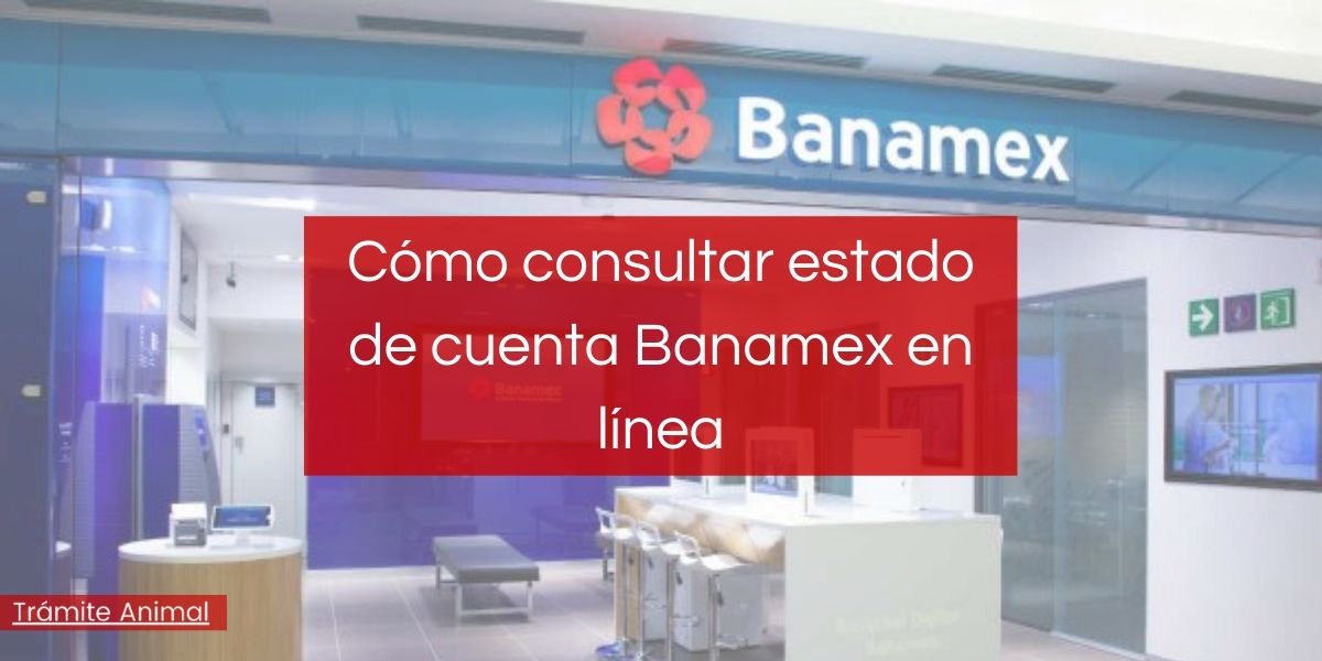 Consultar estado de cuenta Banamex en Línea
