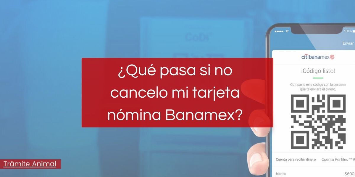 ¿Qué pasa si no cancelo mi tarjeta nómina Banamex?