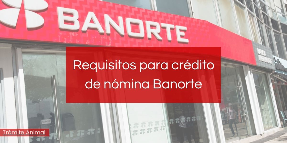 Requisitos para crédito de nómina Banorte