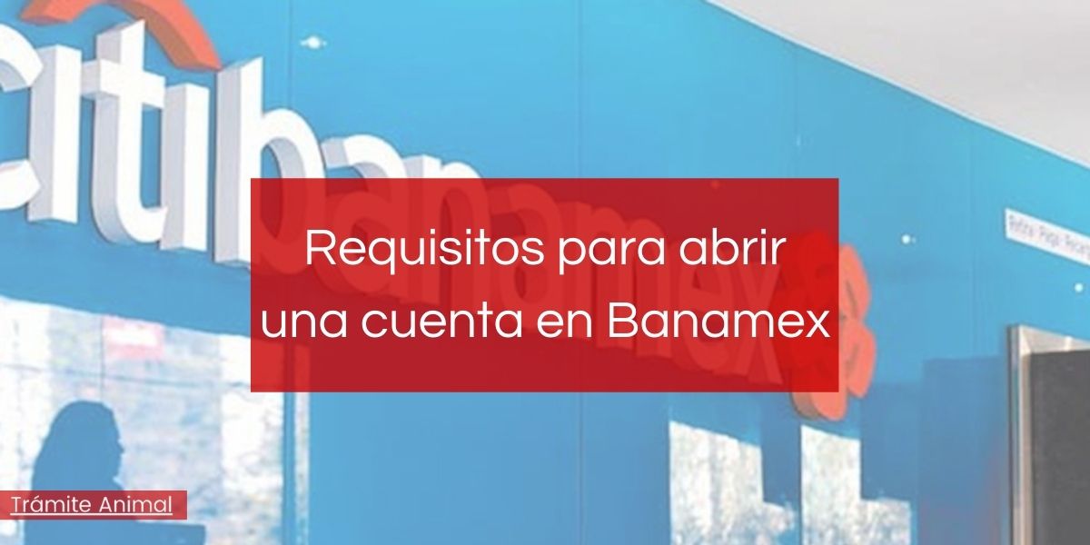 Requisitos para abrir cuenta Banamex