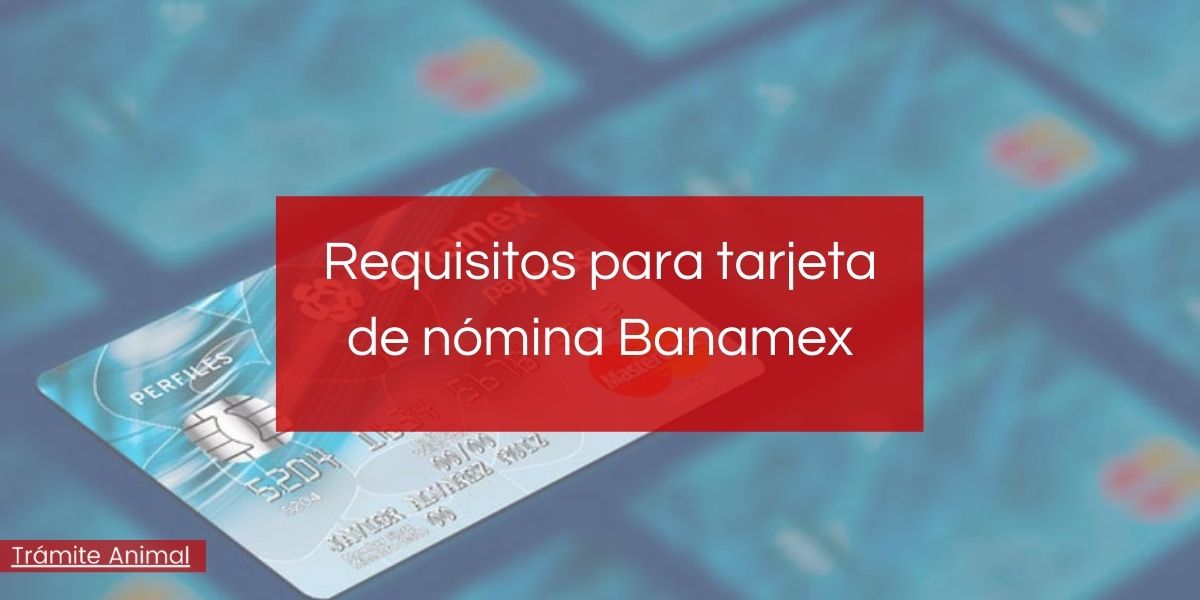 Requisitos para tarjeta nómina Banamex