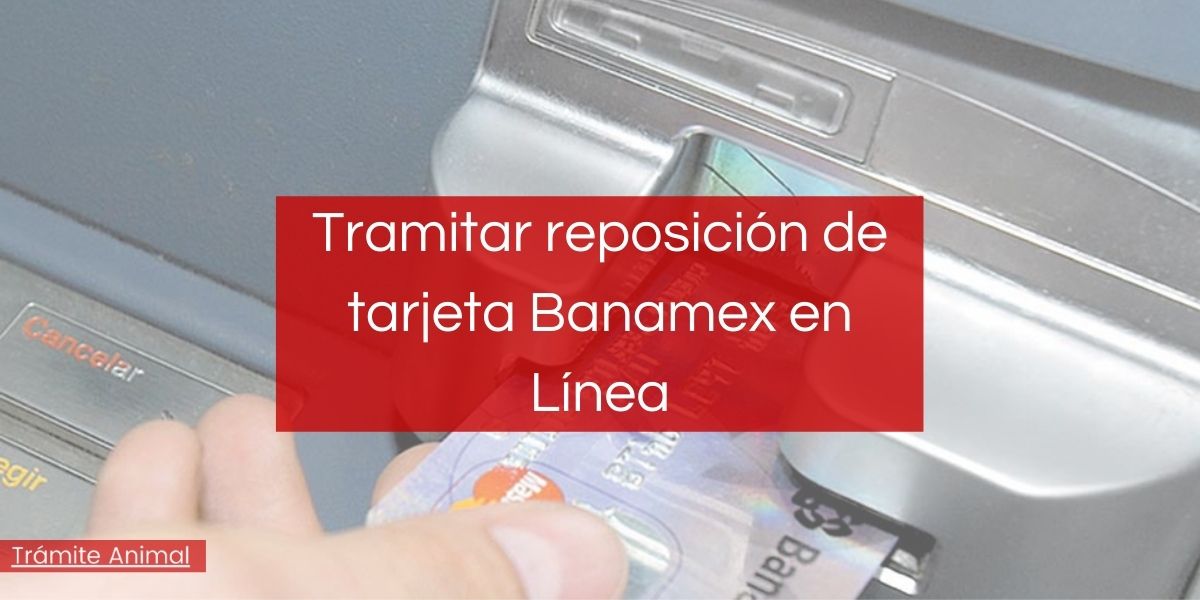 Reposición de tarjeta Banamex en Línea