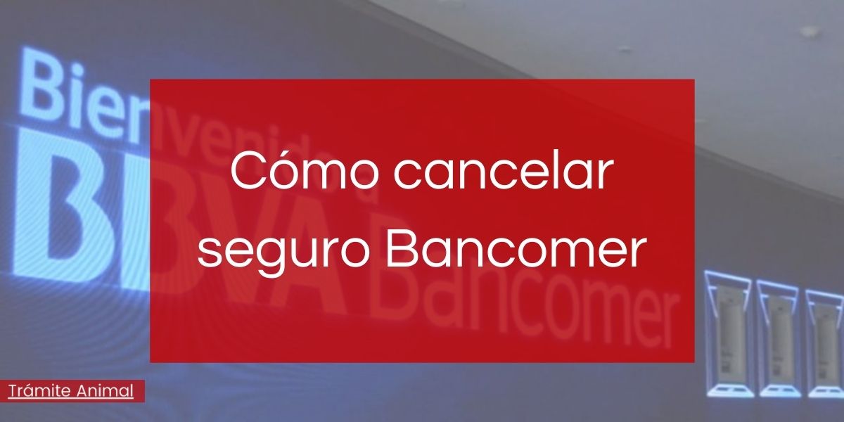 Cómo cancelar seguro Bancomer