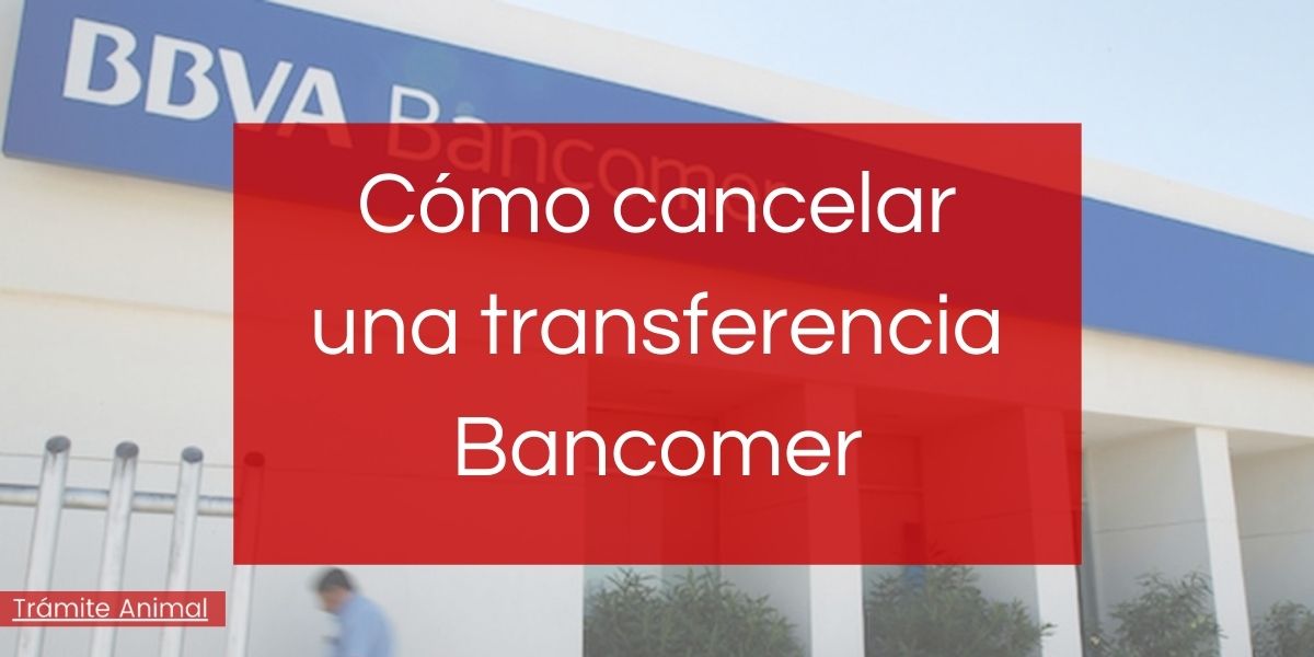 Cómo cancelar transferencia Bancomer