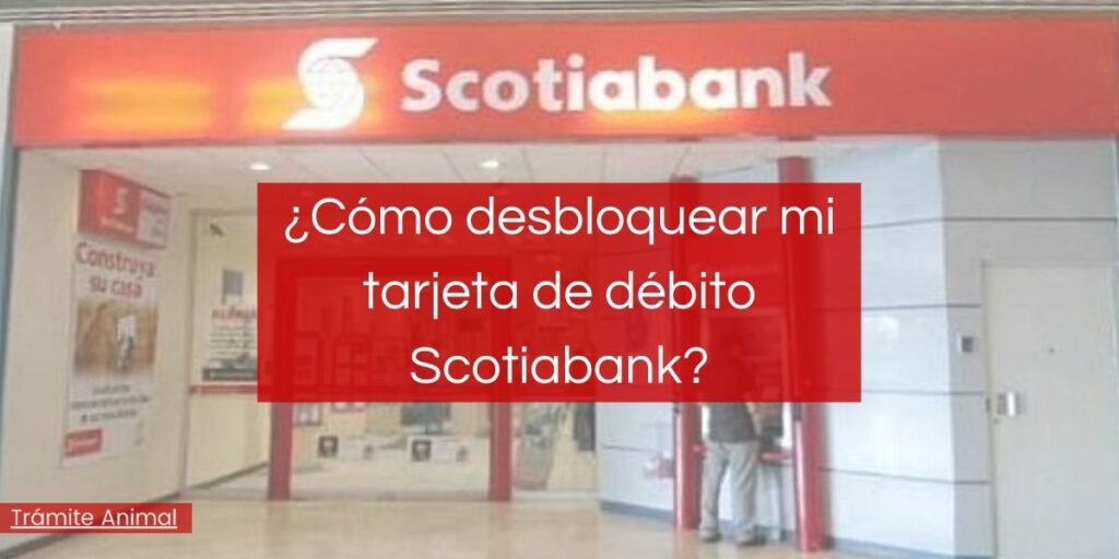 ¿Cómo endosar un cheque Scotiabank? •【2021