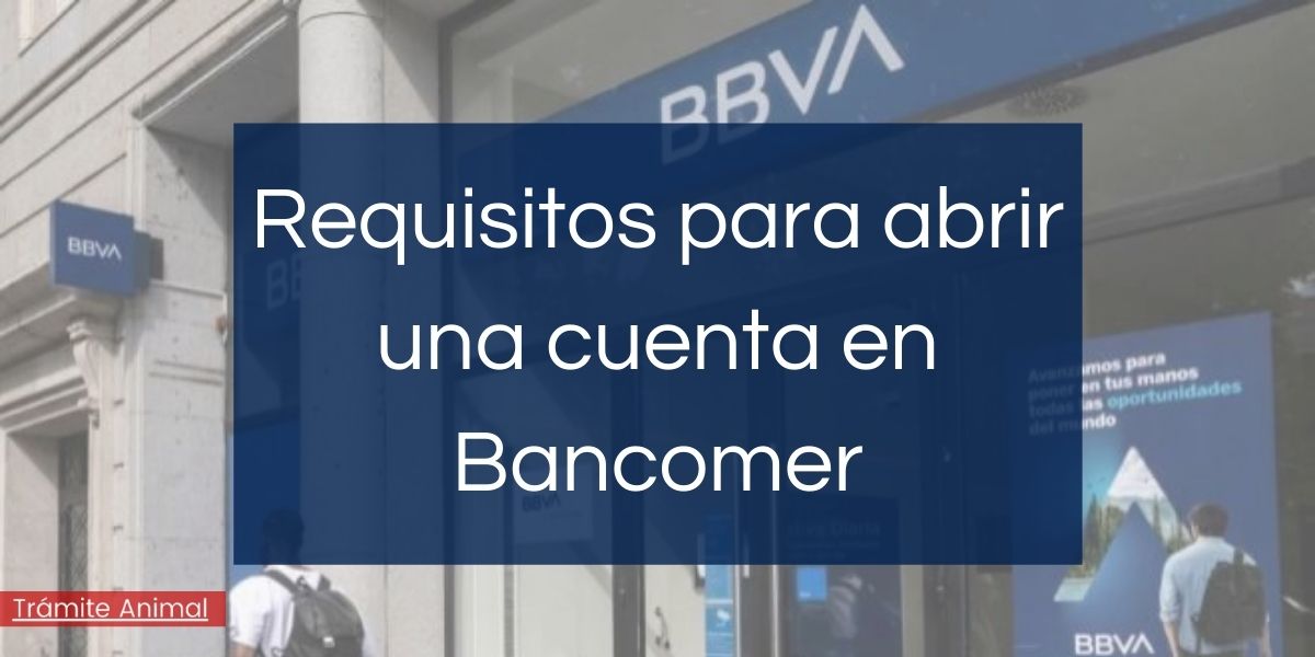 Requisitos para abrir cuenta en Bancomer