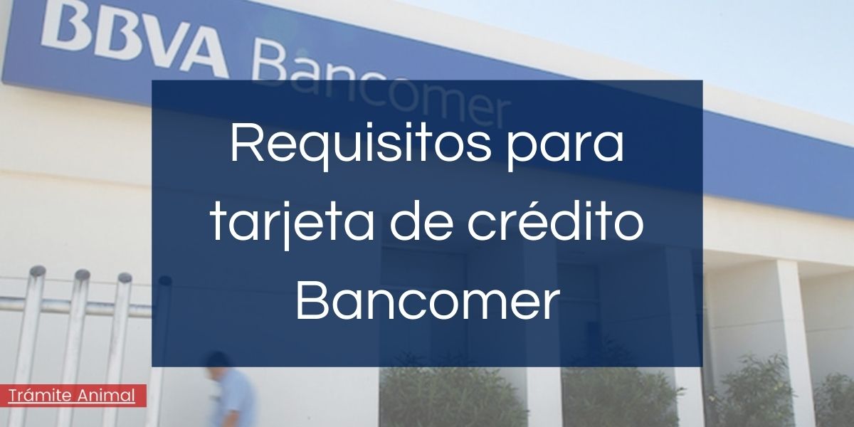 Requisitos para tarjeta de crédito Bancomer