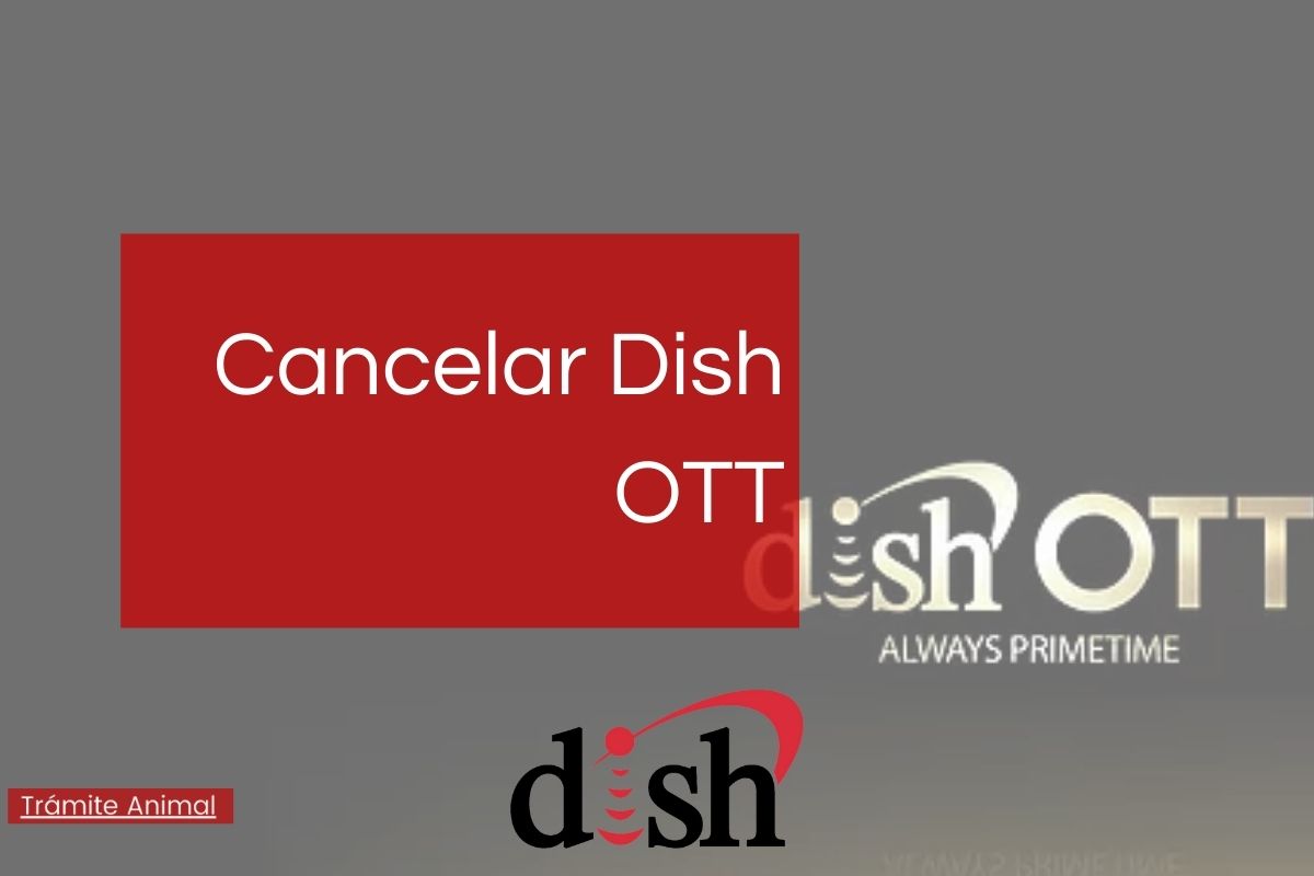 Cancelar Dish OTT