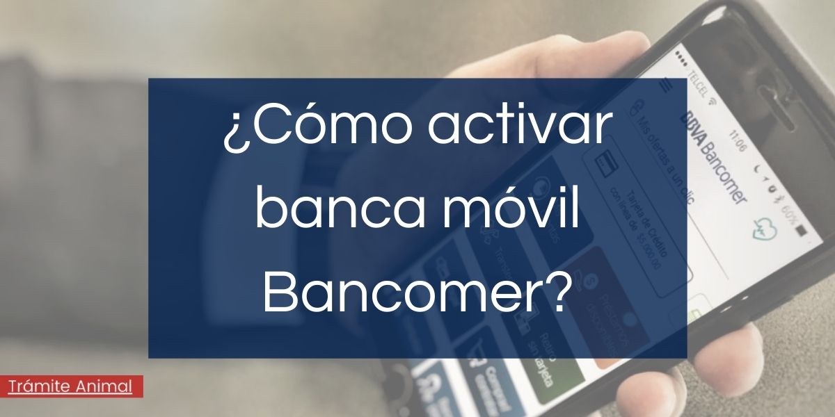 Cómo activar Banca Móvil Bancomer