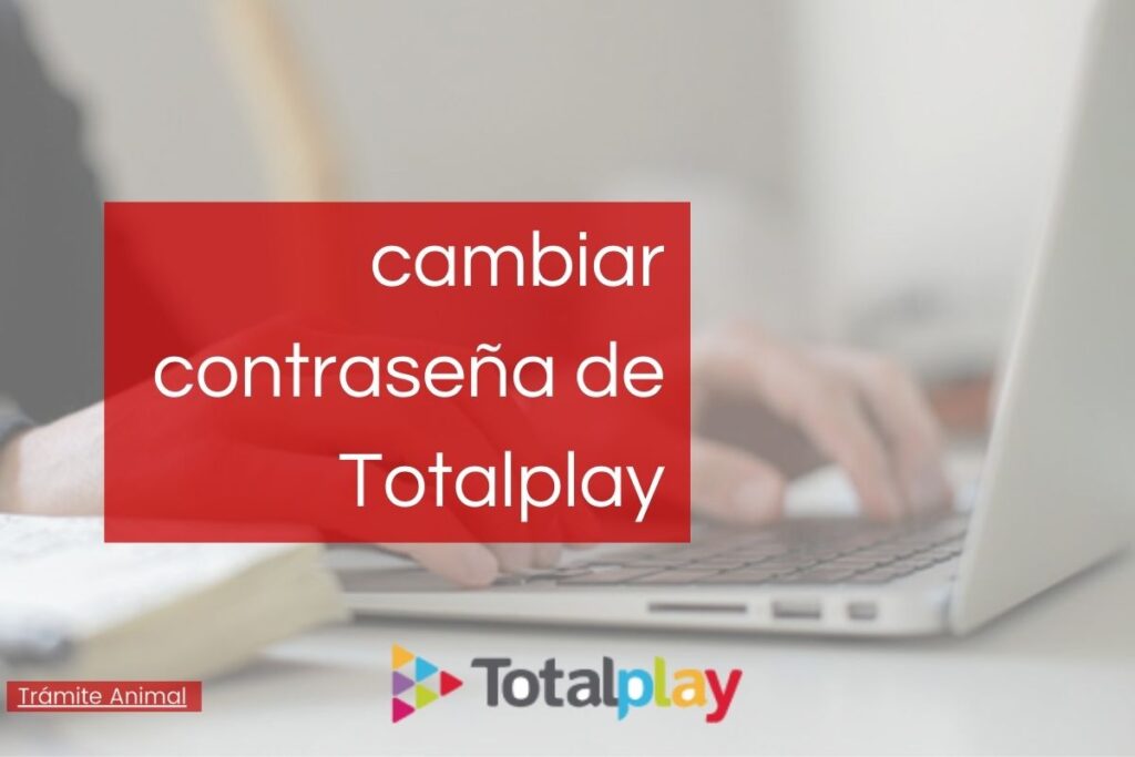izzi vs Totalplay cuál es mejor en 2021