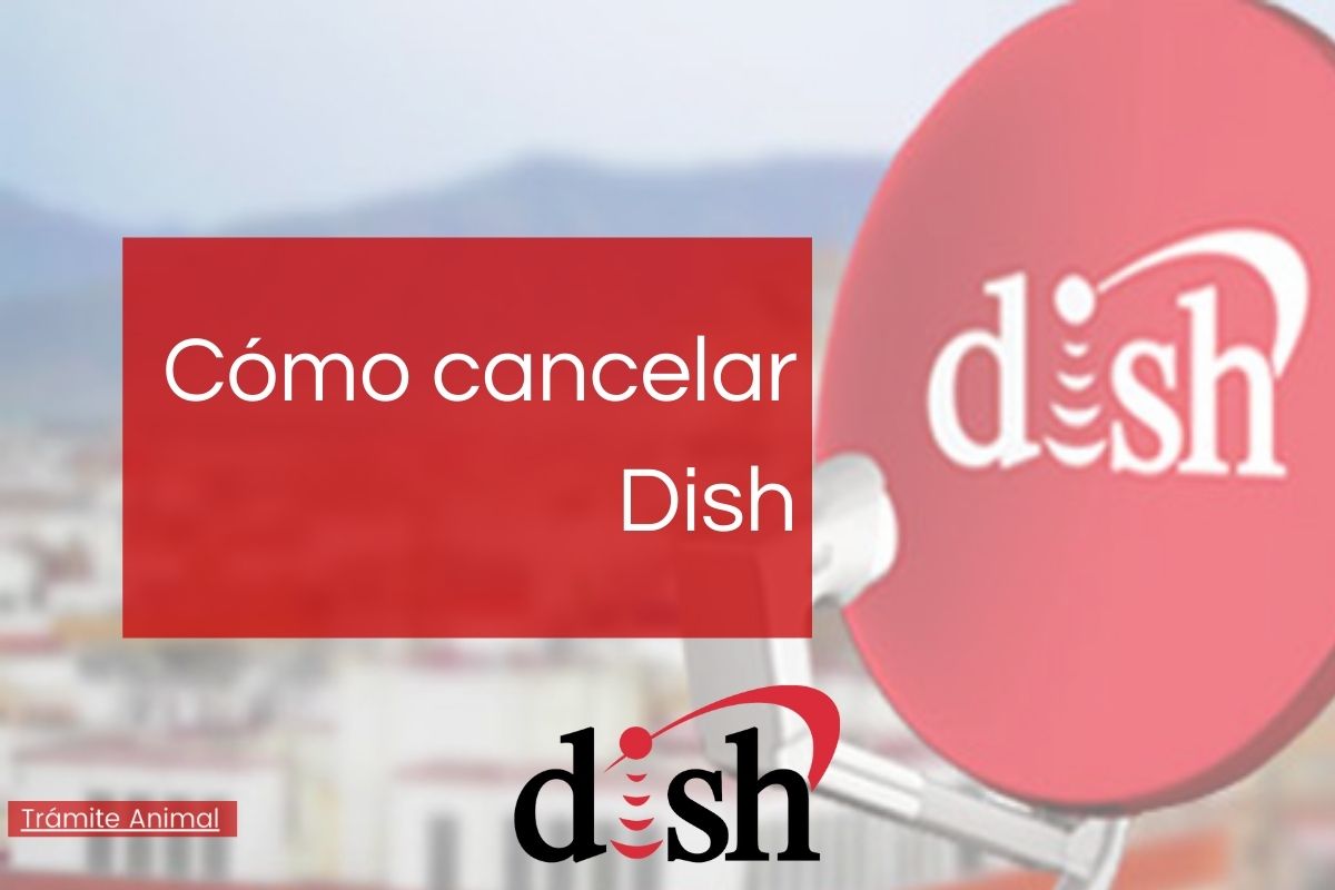 Cómo cancelar Dish por teléfono