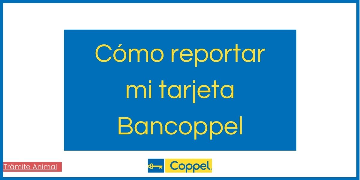 Cómo reportar tarjeta Bancoppel