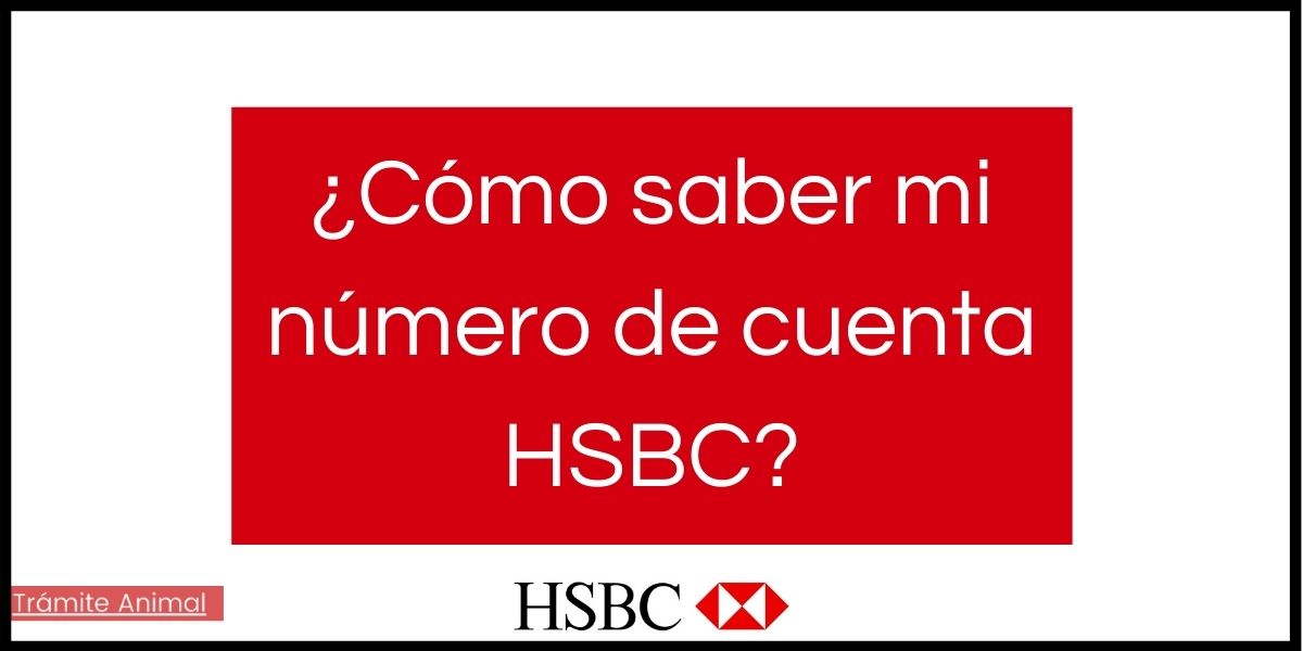 Cómo saber mi número de cuenta HSBC