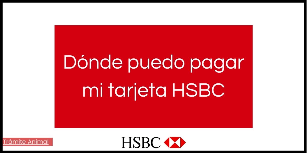 Dónde puedo pagar mi tarjeta HSBC