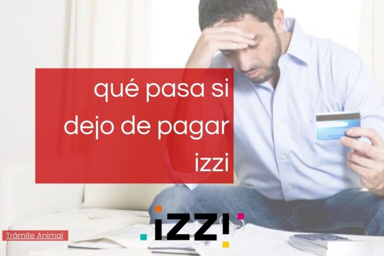 Cómo saber mi número de contrato izzi en 2021 •【Actualizado】