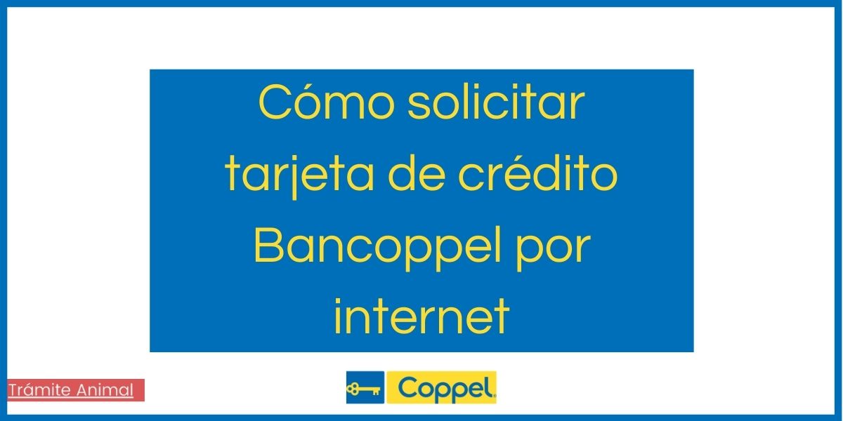 Cómo solicitar la tarjeta de crédito Bancoppel por internet